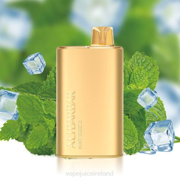 Vape Juice - Alibarbar Rich 8000 Disposable Vape Mint Breeze TDT48