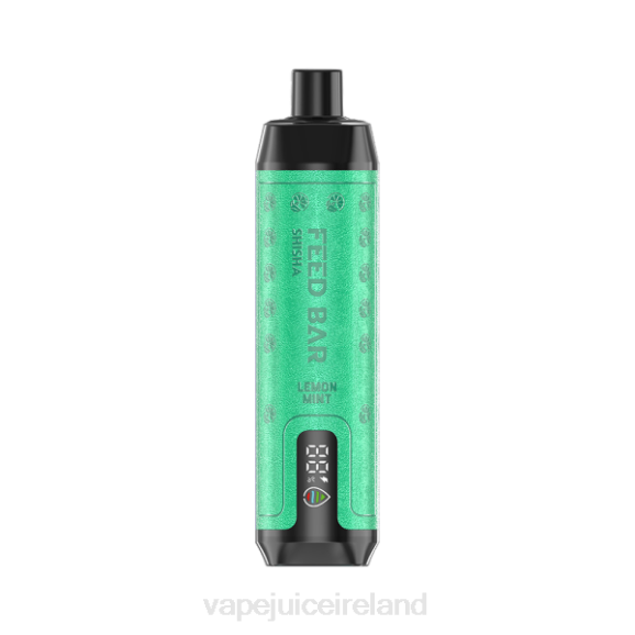 Vape Ireland - Vapsolo SHISHA Disposable Vape Lemon Mint TDT4101