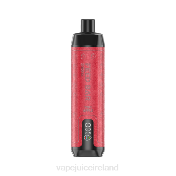 Vape Ireland - Vapsolo SHISHA Disposable Vape Two Apple TDT4106