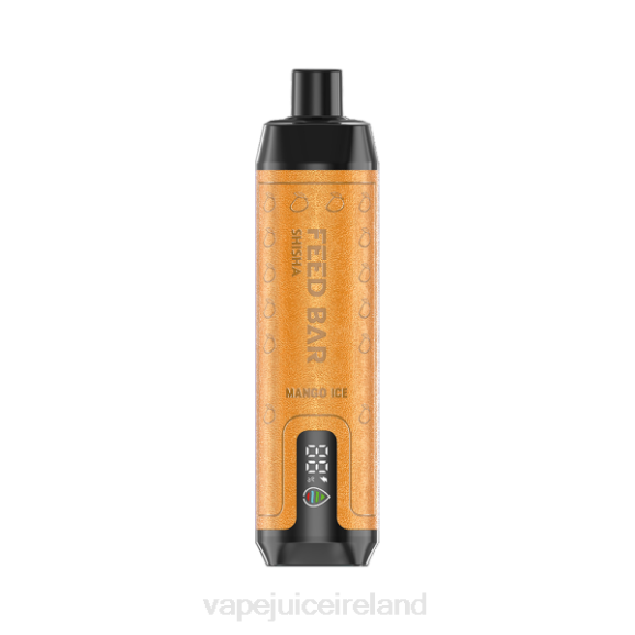 Vape Juice - Vapsolo SHISHA Disposable Vape Mango Ice TDT4103