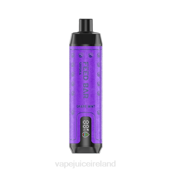 Vape Pod Kits - Vapsolo SHISHA Disposable Vape Grape Mint TDT4100
