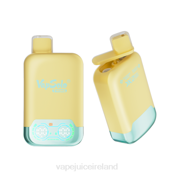 Vape Pod Kits - Vapsolo TWINS Disposable Vape Pineapple Coconut & Strawberry Banana TDT4125