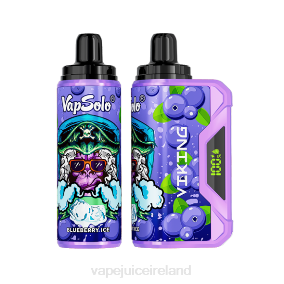 Vape Pod Kits - Vapsolo VIKING Disposable Vape Blueberry TDT4130