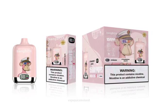 Vape Pods Ireland - Bang Box 15000 Puffs Strawberry Grape 0PVR44