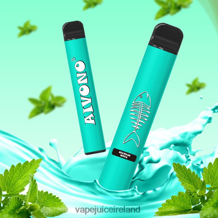 Vape Juice - Aivono AIM FISHBONE 600 Cool Mint 6HX0T6278
