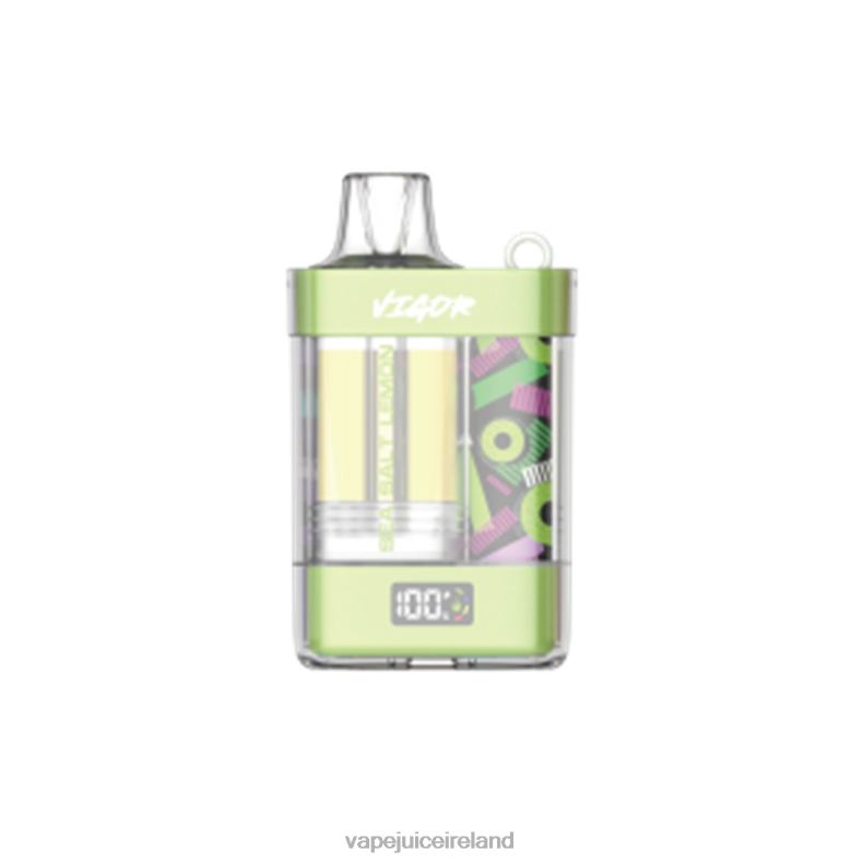 Vape Flavours - LAVIE VIGOR 15000 Puffs Sea Salt Lemon TVF2X7