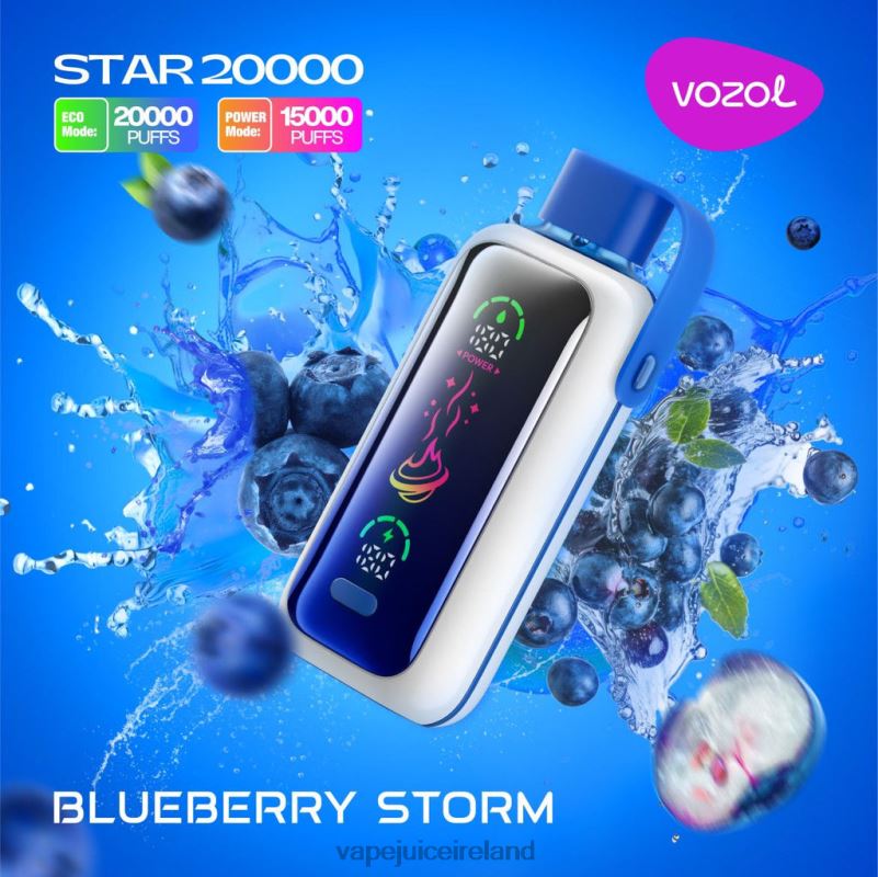 Vape Göteborg - VOZOL STAR 20000 BLUEBERRY STORM DR4285