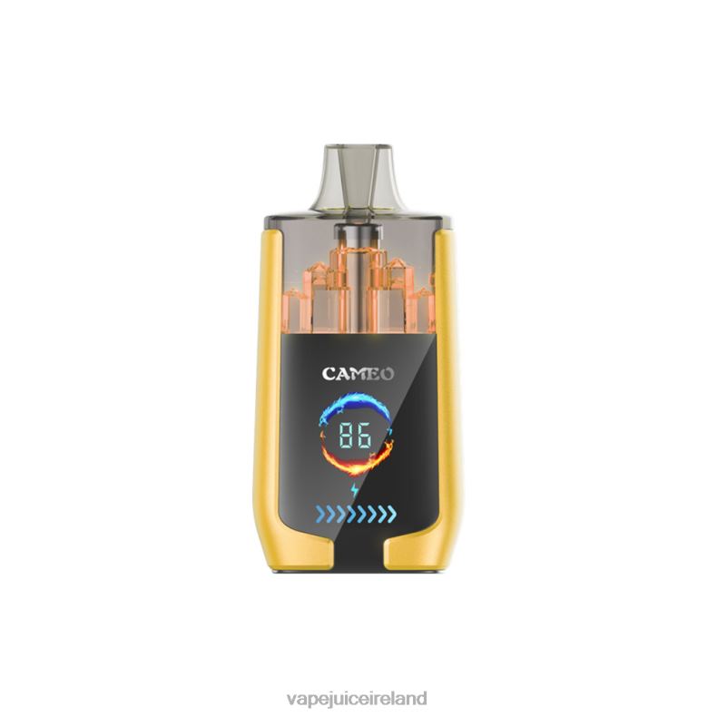Vape Ireland - LAVIE CAMEO 30000 Puffs Mango Ice TVF2X21