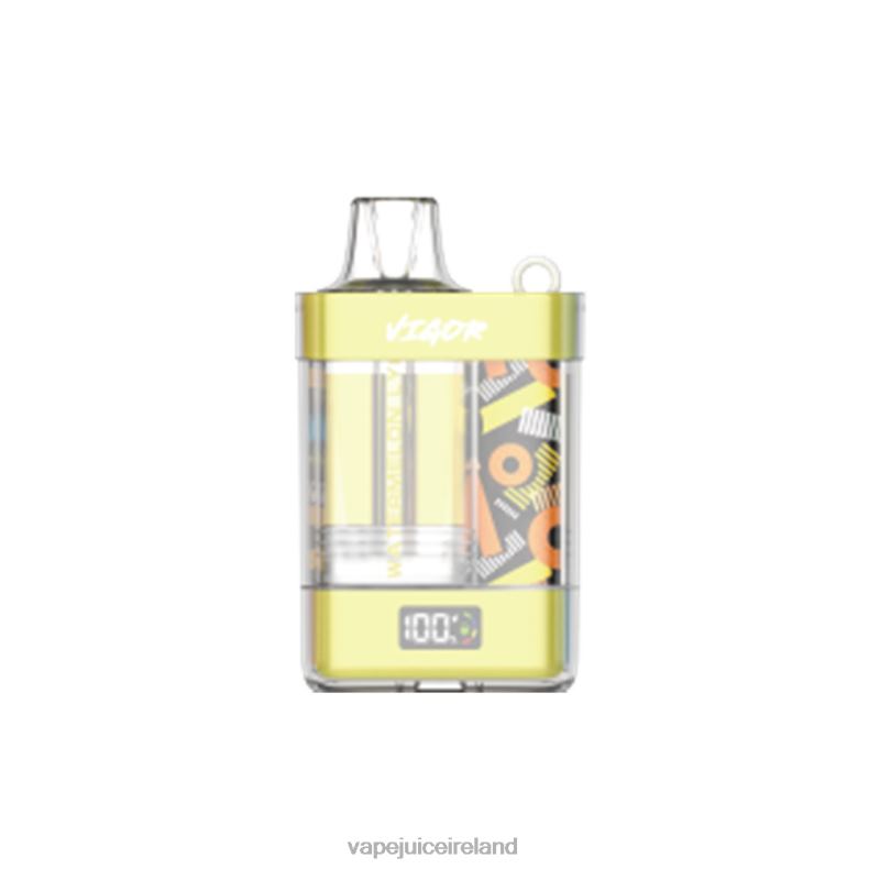 Vape Ireland - LAVIE VIGOR 15000 Puffs Watermelon Lychee TVF2X11