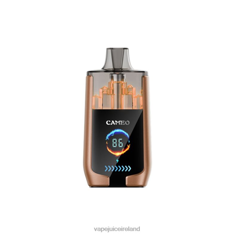 Vape Juice - LAVIE CAMEO 30000 Puffs Coffee Ice TVF2X18