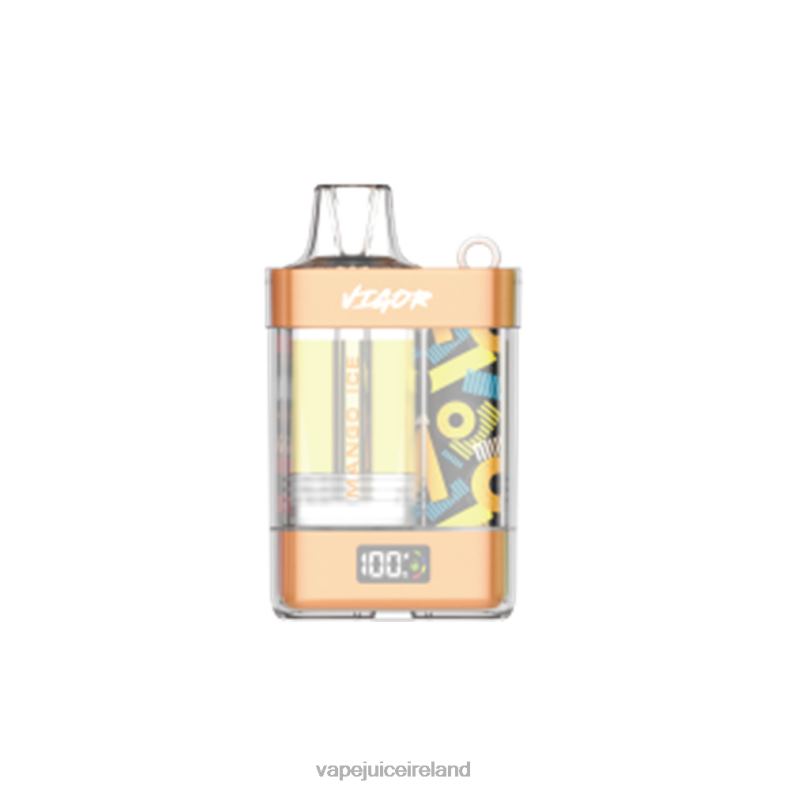 Vape Juice - LAVIE VIGOR 15000 Puffs Mango Ice TVF2X3