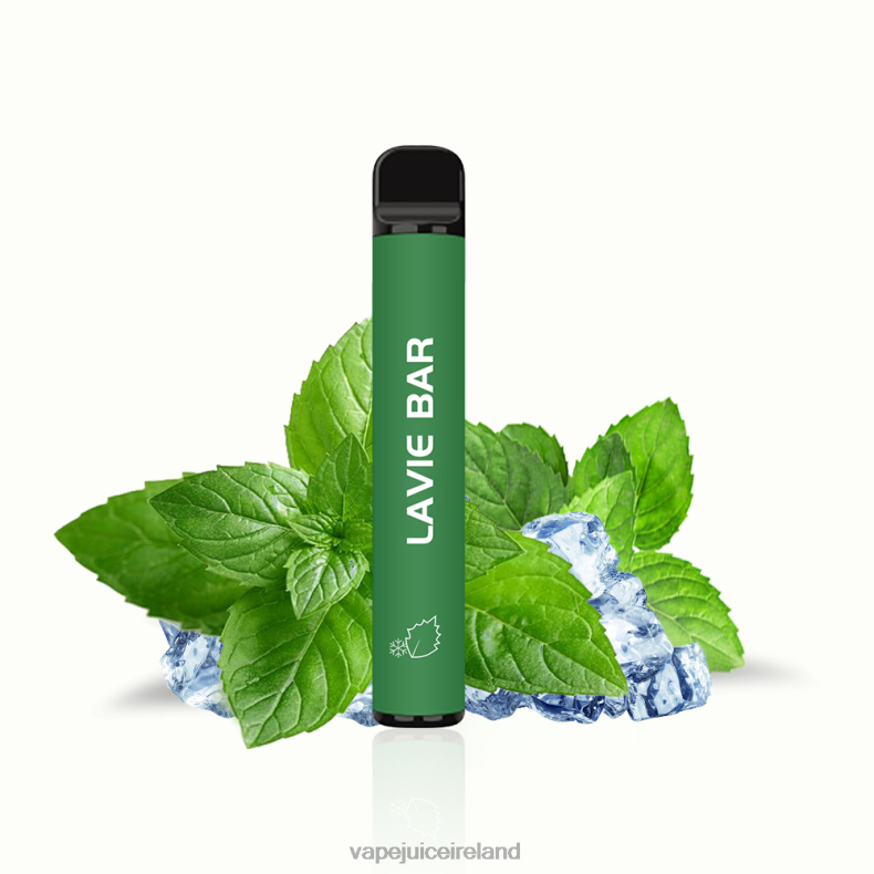 Vape Pod Kits - LAVIE BAR 2% Version 800 Puffs Cool Mint TVF2X320