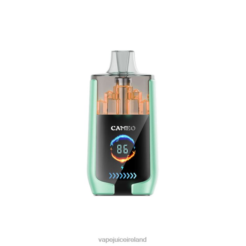 Vape Pod Kits - LAVIE CAMEO 30000 Puffs Double Apple TVF2X20