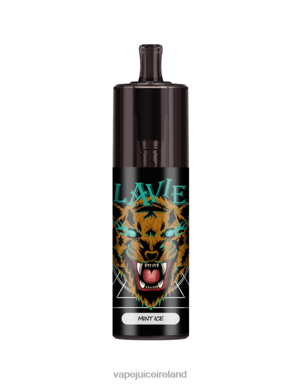 Vape Pod Kits - LAVIE COLOUR BAR 10000 Puffs Airflow Control Mint Ice TVF2X335