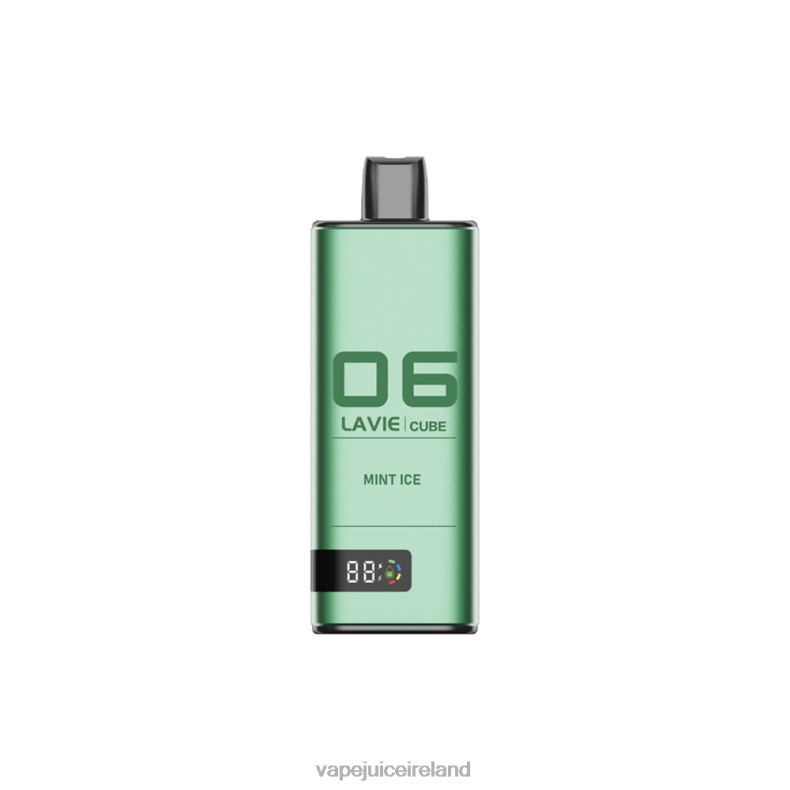 Vape Pod Kits - LAVIE Cube 20000 Puffs Mint Ice TVF2X40