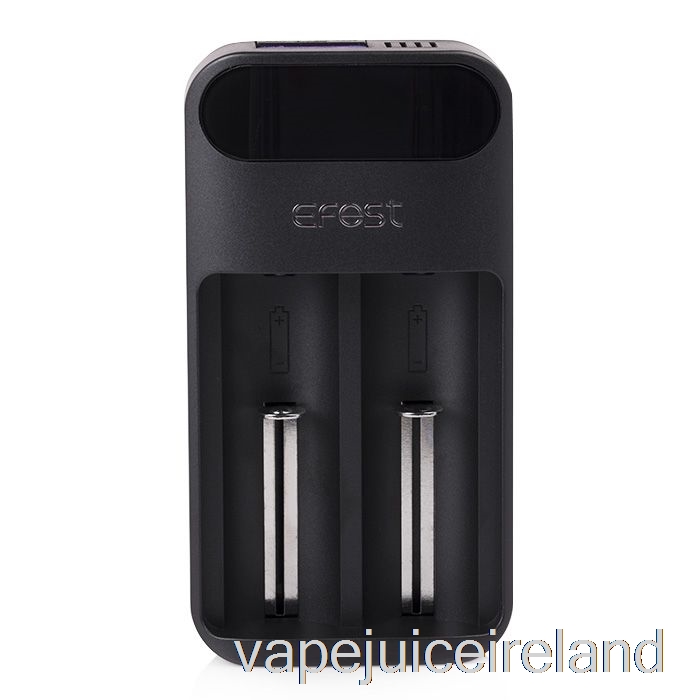 Vape Flavours Efest LUSH Q2 2-Bay Intelligent LED Battery Charger