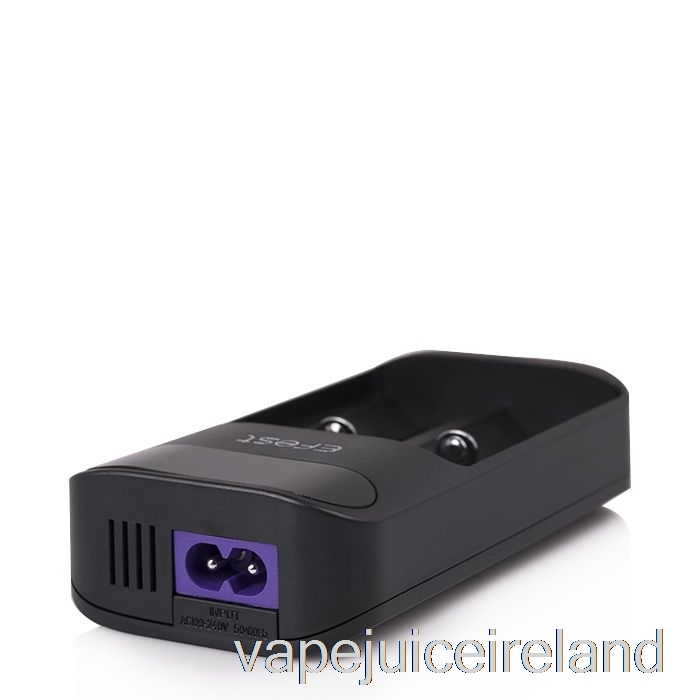 Vape Flavours Efest LUSH Q2 2-Bay Intelligent LED Battery Charger