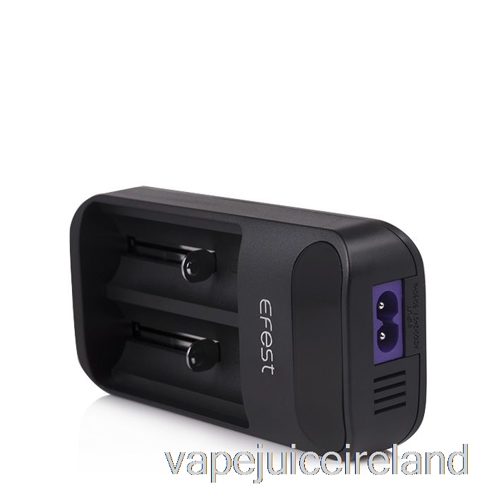 Vape Flavours Efest LUSH Q2 2-Bay Intelligent LED Battery Charger